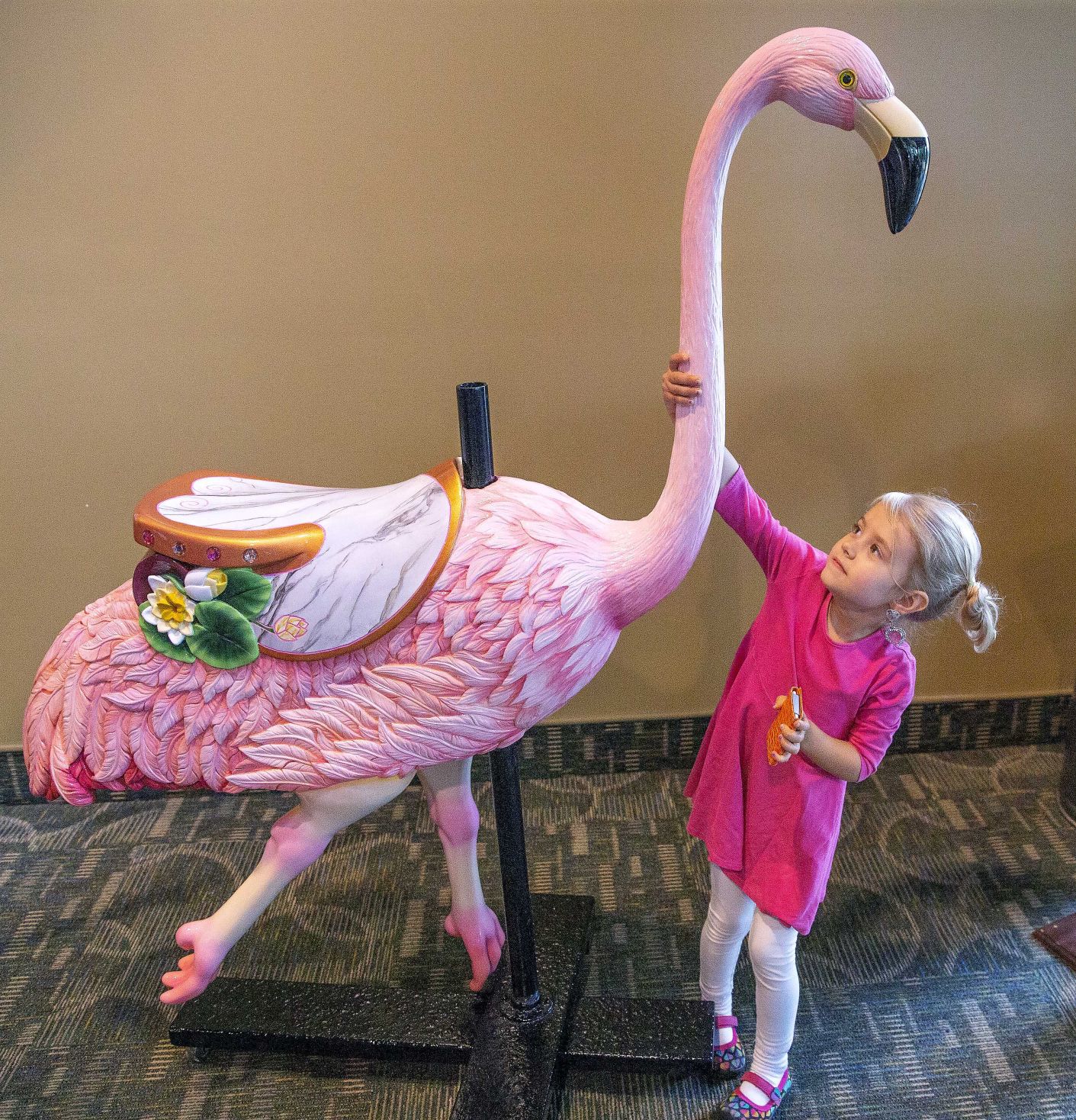 20180613g_nws_carousel_flamingo